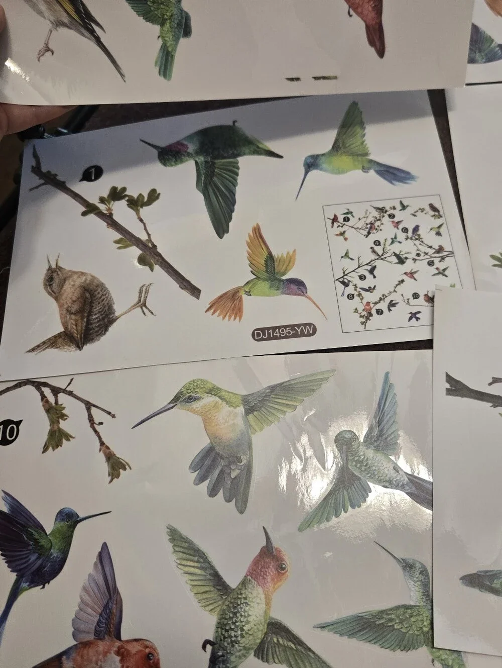 Bird & Branch Vinyl Window Clings Reusable No Adhesive